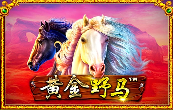 6566体育下载网址